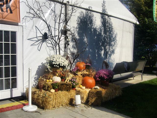 Events decor at Millenium Park by Advance Event Group